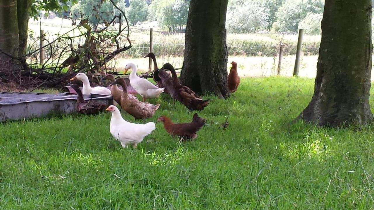 Farm stay Stybeck Farm