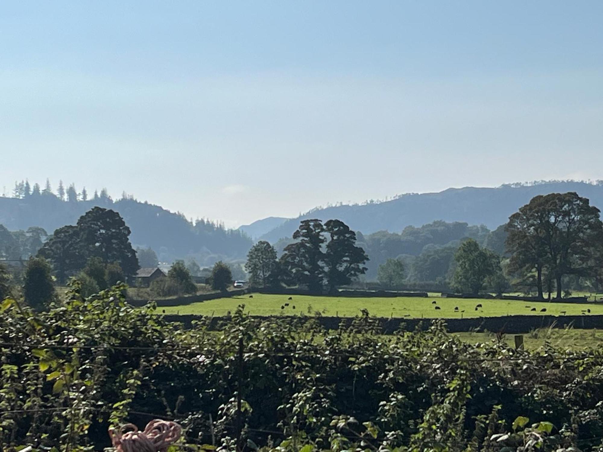 Farm stay Stybeck Farm *